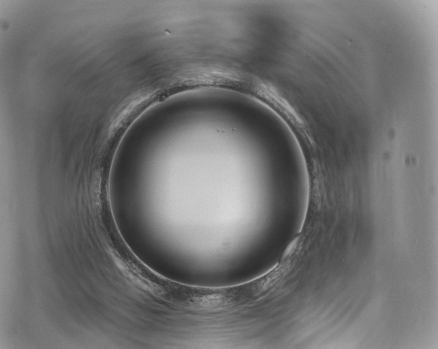 X0000073920058200608111233