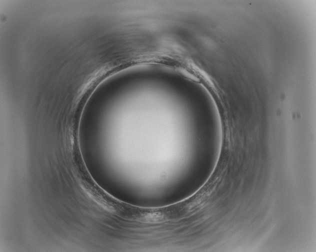 X0000073920059200608111233