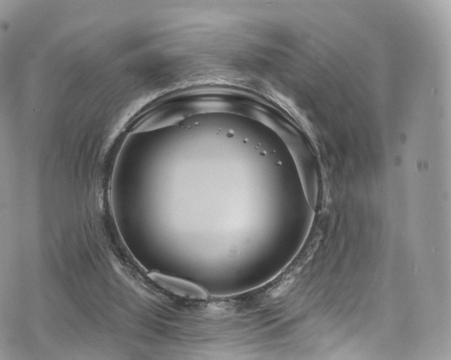 X0000073920060200608111233