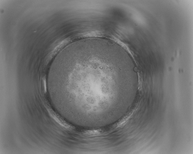 X0000073920061200608111233