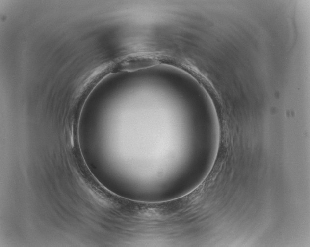 X0000073920062200608111233