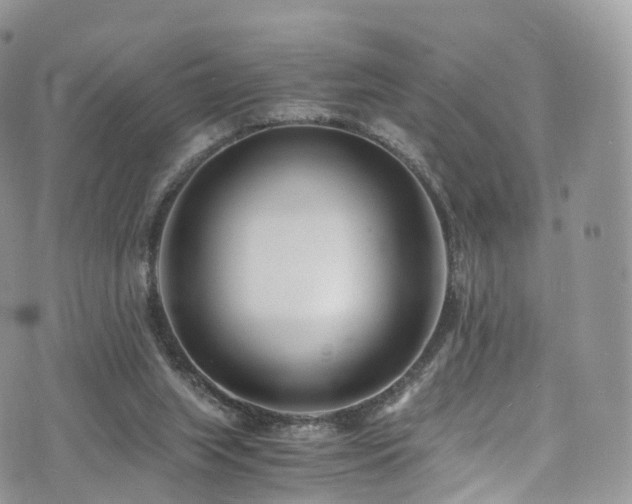 X0000073920063200608111233