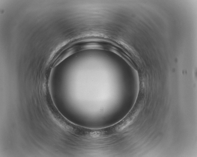 X0000073920064200608111233