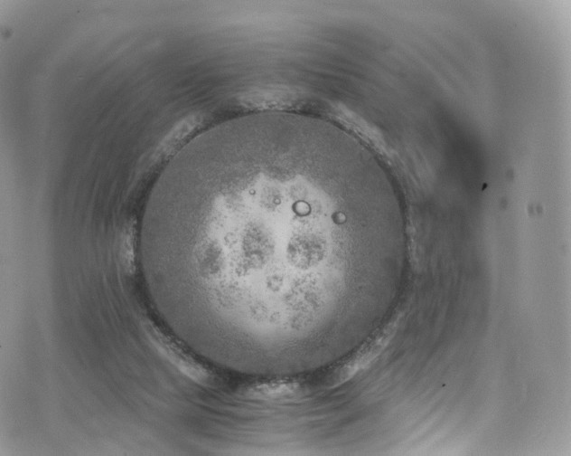 X0000073920065200608111233