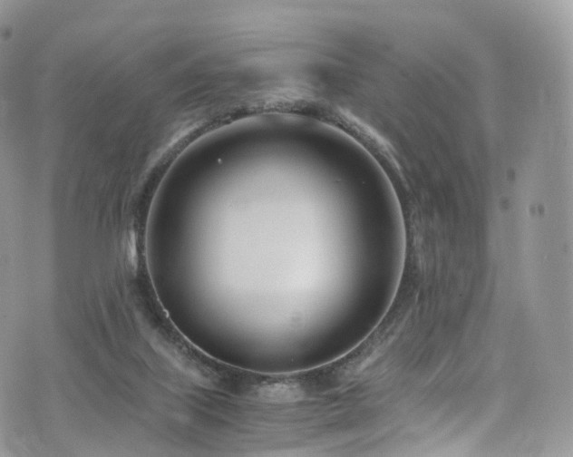 X0000073920067200608111233