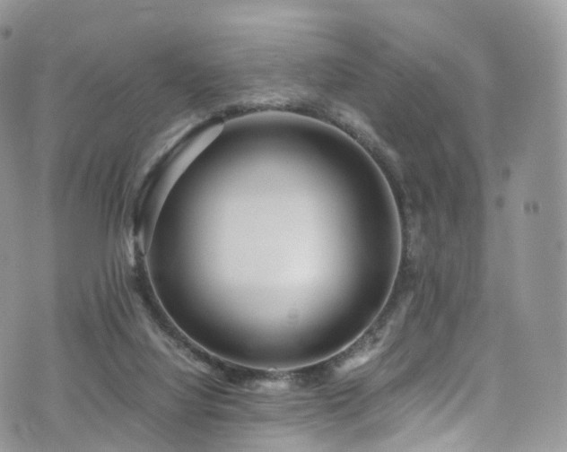 X0000073920068200608111233