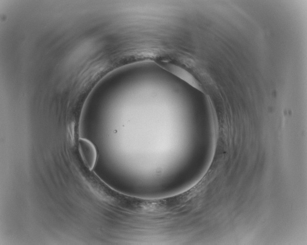 X0000073920070200608111233