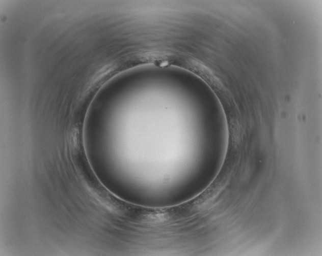 X0000073920071200608111233