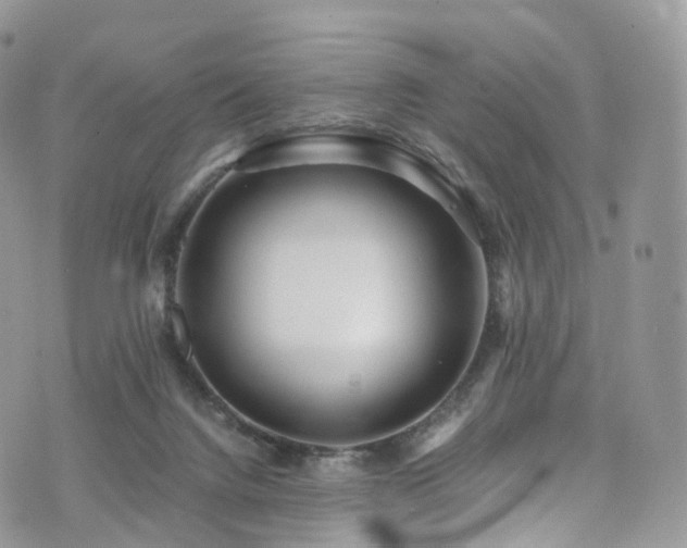 X0000073920072200608111233