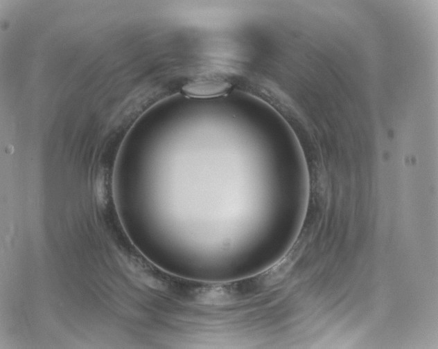 X0000073920074200608111233