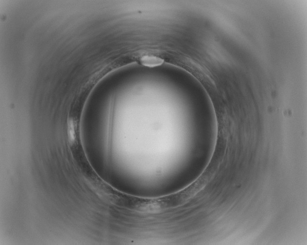 X0000073920075200608111233