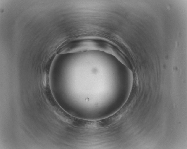 X0000073920076200608111233