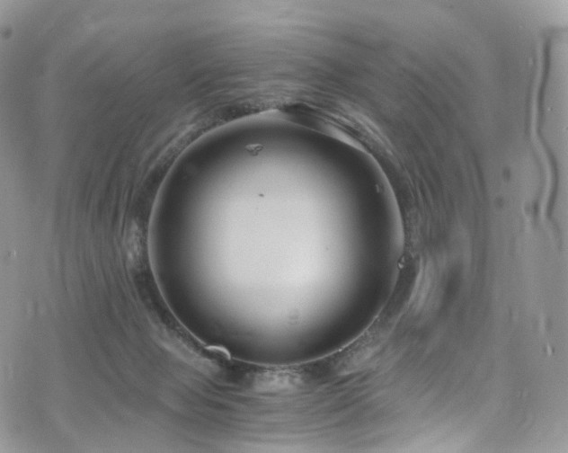 X0000073920077200608111233