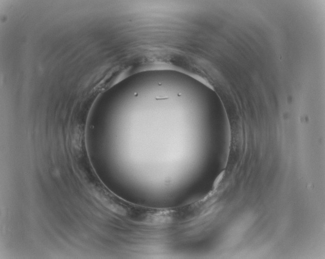 X0000073920078200608111233