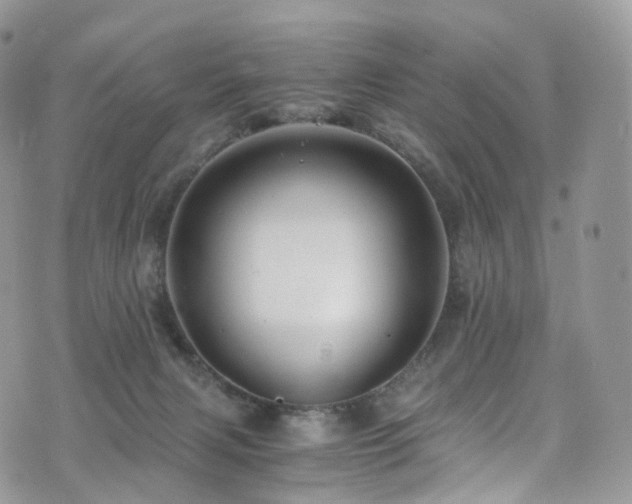 X0000073920079200608111233