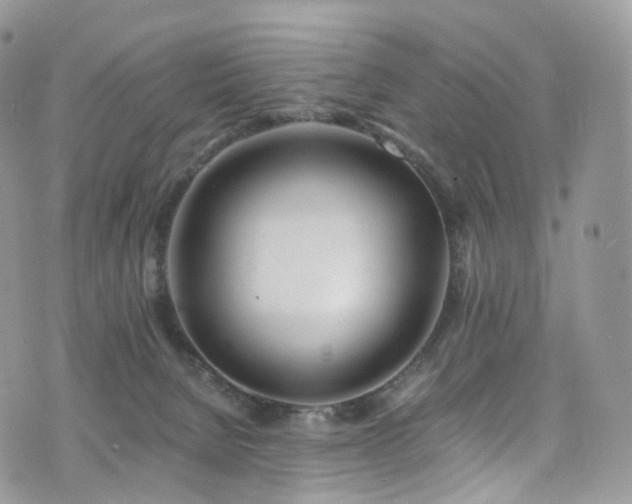 X0000073920080200608111233