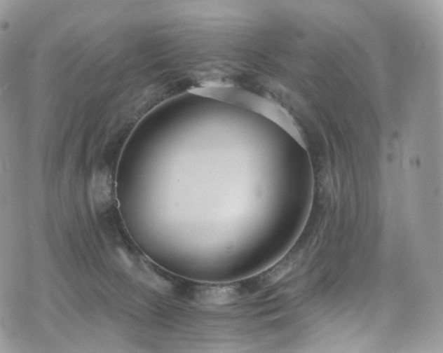 X0000073920081200608111233