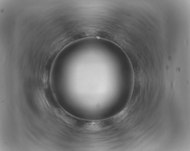 X0000073920082200608111233