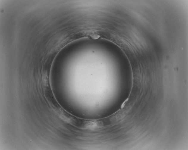 X0000073920083200608111233