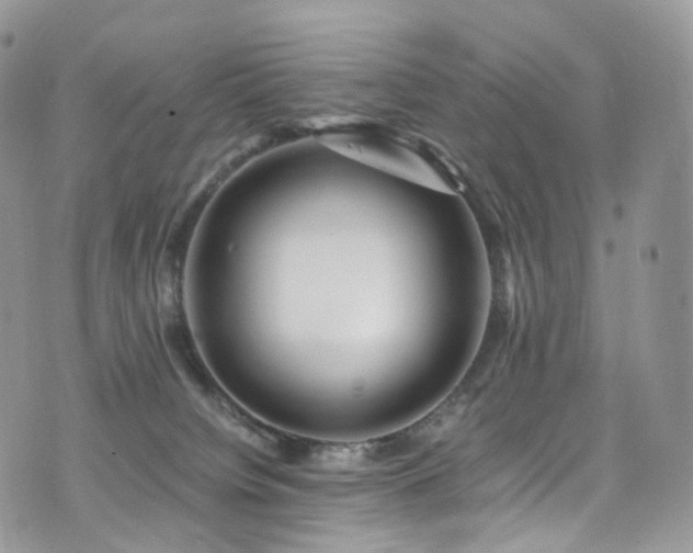 X0000073920084200608111233