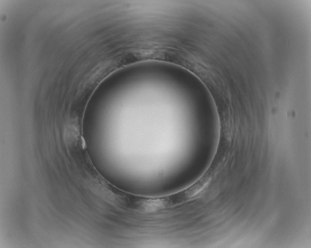 X0000073920085200608111233