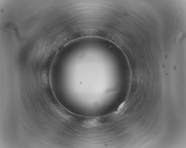 X0000073920086200608111233