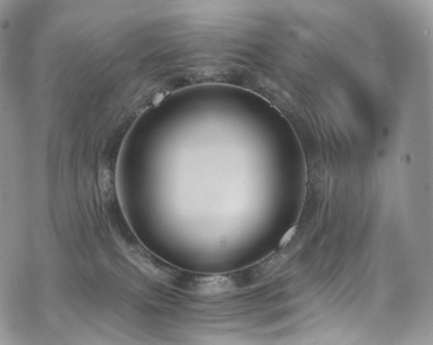 X0000073920087200608111233