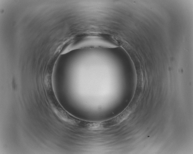 X0000073920088200608111233