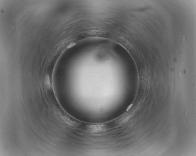 X0000073920089200608111233