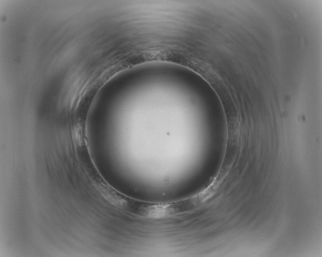 X0000073920090200608111233