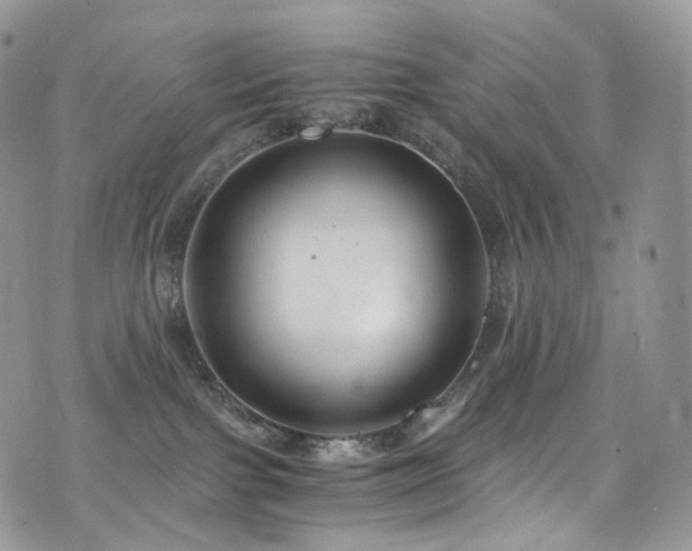 X0000073920091200608111233