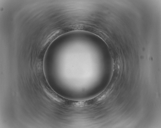 X0000073920092200608111233