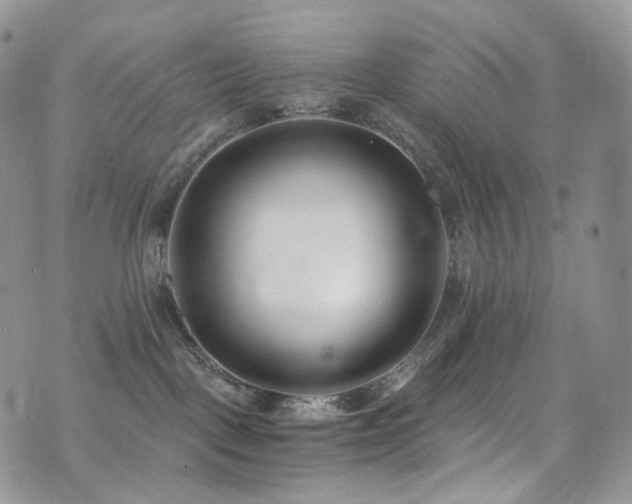 X0000073920093200608111233