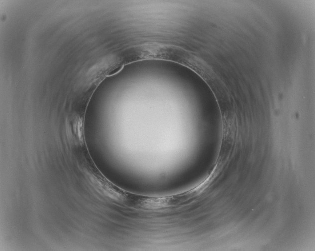 X0000073920094200608111233