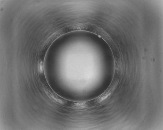 X0000073920095200608111233