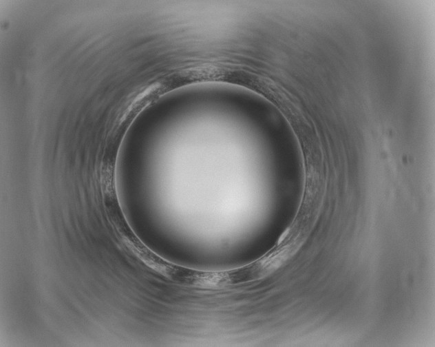 X0000073920096200608111233