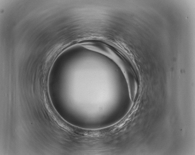 X0000073920097200608111232