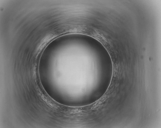 X0000073920098200608111232