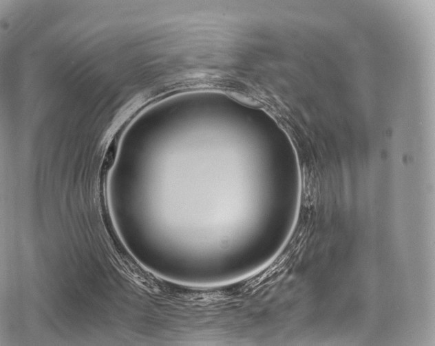 X0000073920099200608111232