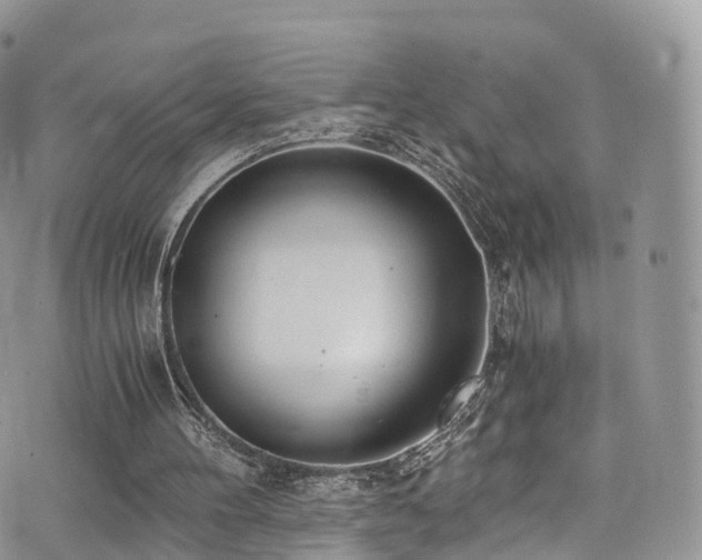 X0000073920100200608111232