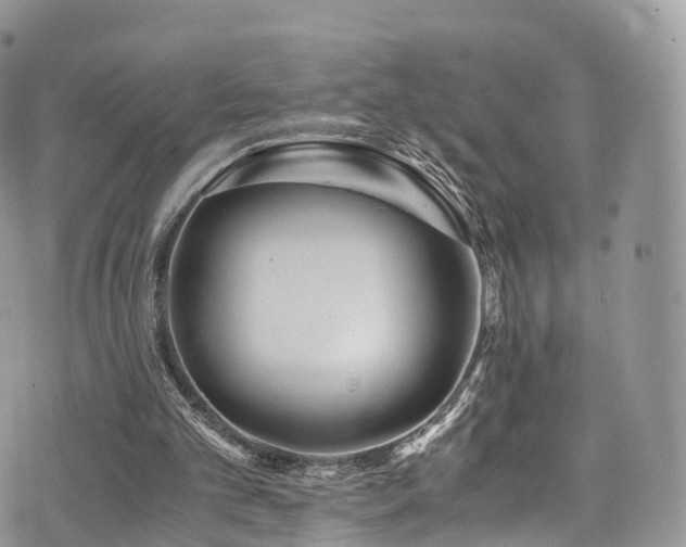 X0000073920101200608111232