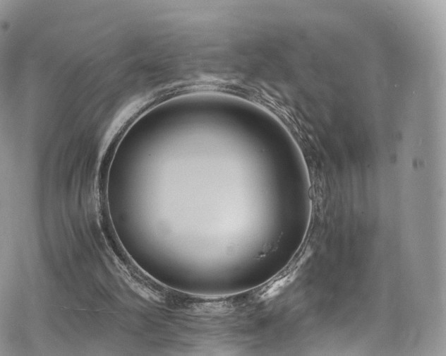 X0000073920102200608111232