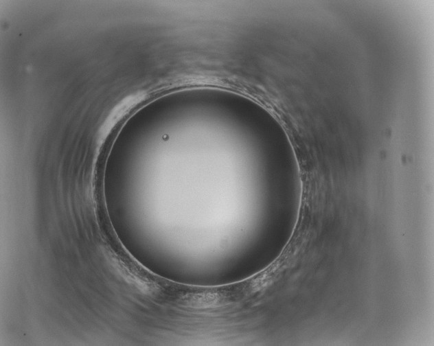 X0000073920104200608111232