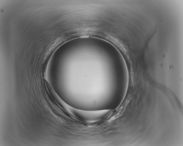 X0000073920105200608111232