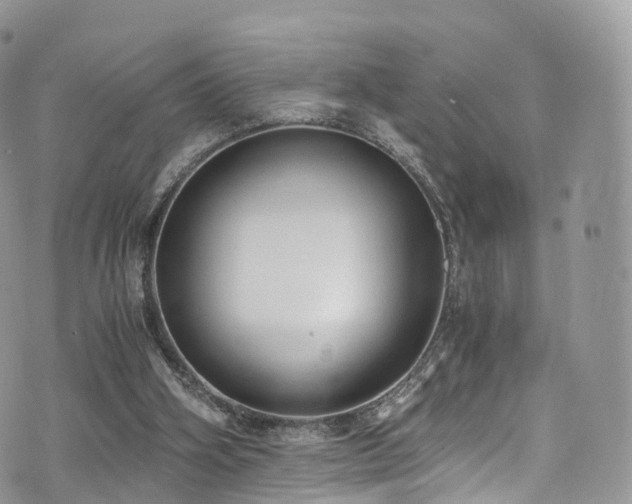 X0000073920106200608111232