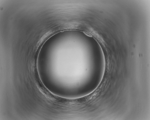 X0000073920107200608111232