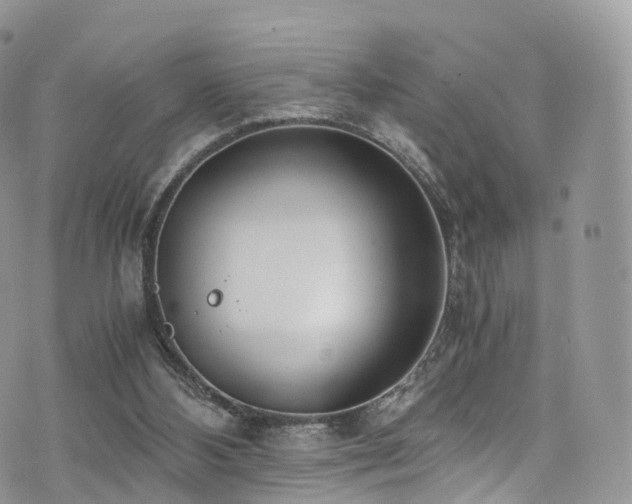 X0000073920108200608111232