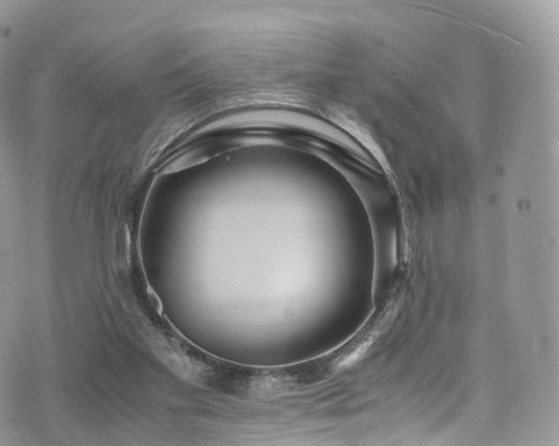 X0000073920109200608111232