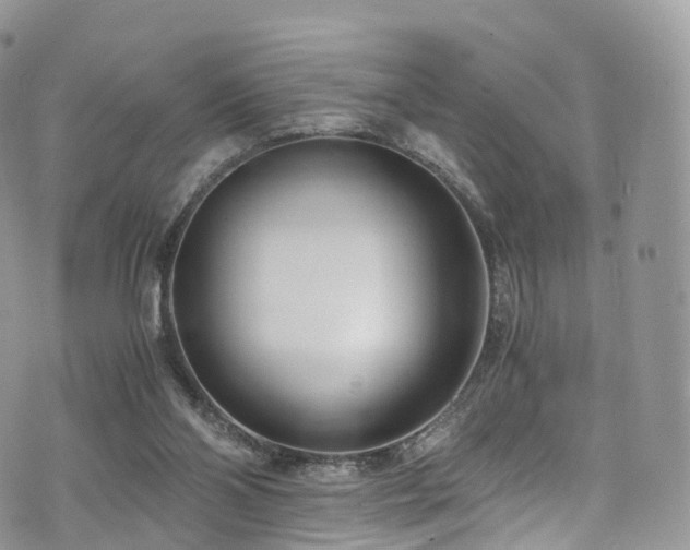 X0000073920110200608111232