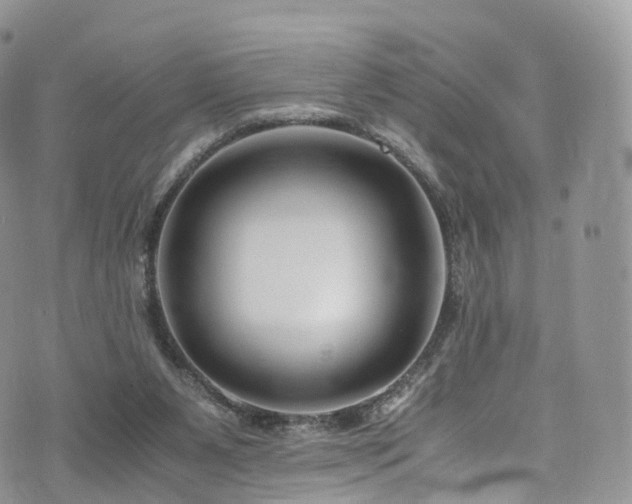 X0000073920111200608111232